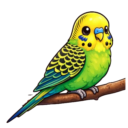 Budgie